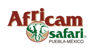 Africam Safari